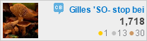 profile for Gilles 'SO- stop being evil' at Community Building